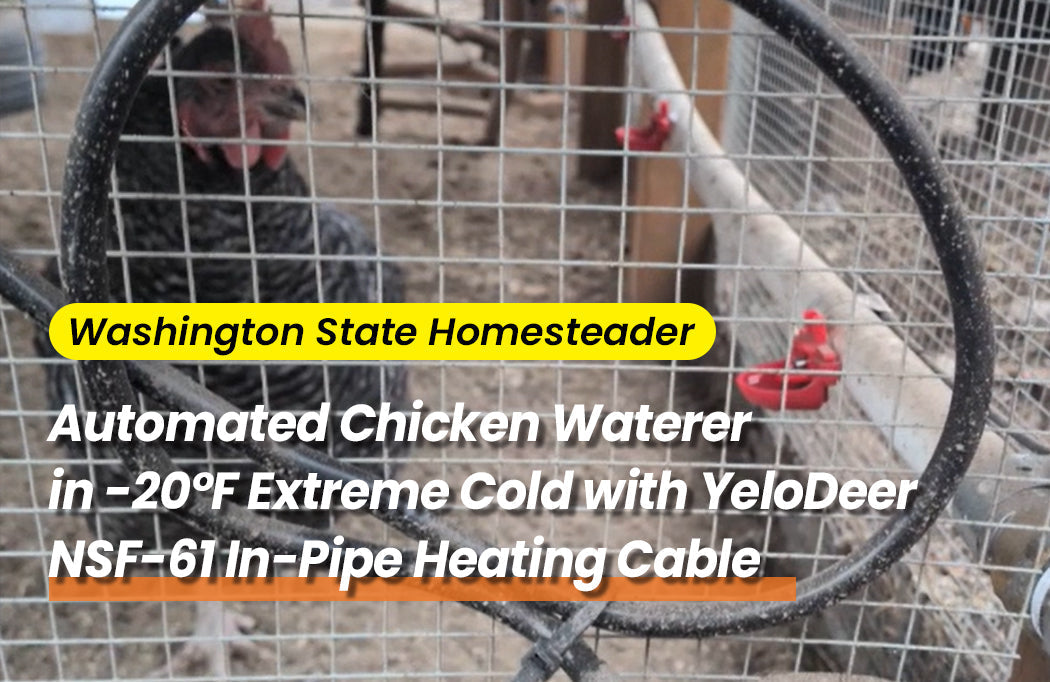 Automating Chicken Coop Water Systems in -20°F Extreme Cold