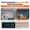 12V DC Refrigeration Temperature Controller with Auto Defrost & Compressor Delay | YeloDeer