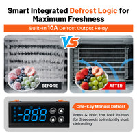 12V DC Refrigeration Temperature Controller with Auto Defrost & Compressor Delay | YeloDeer